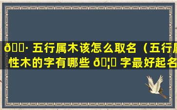 🕷 五行属木该怎么取名（五行属性木的字有哪些 🦍 字最好起名）